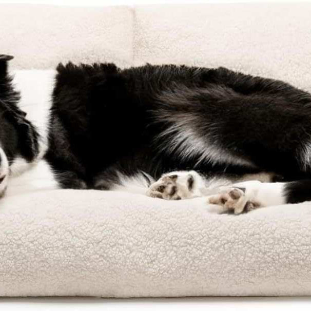 Pet Sofa For Medium Large Dogs & Cats - Washable Couch