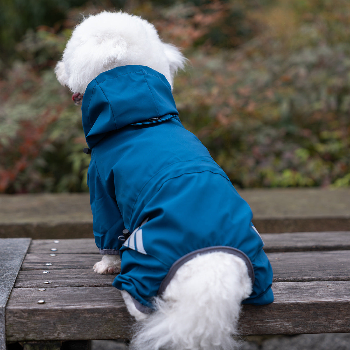 Adorable Pet Raincoat - Four-legged Waterproof Poncho