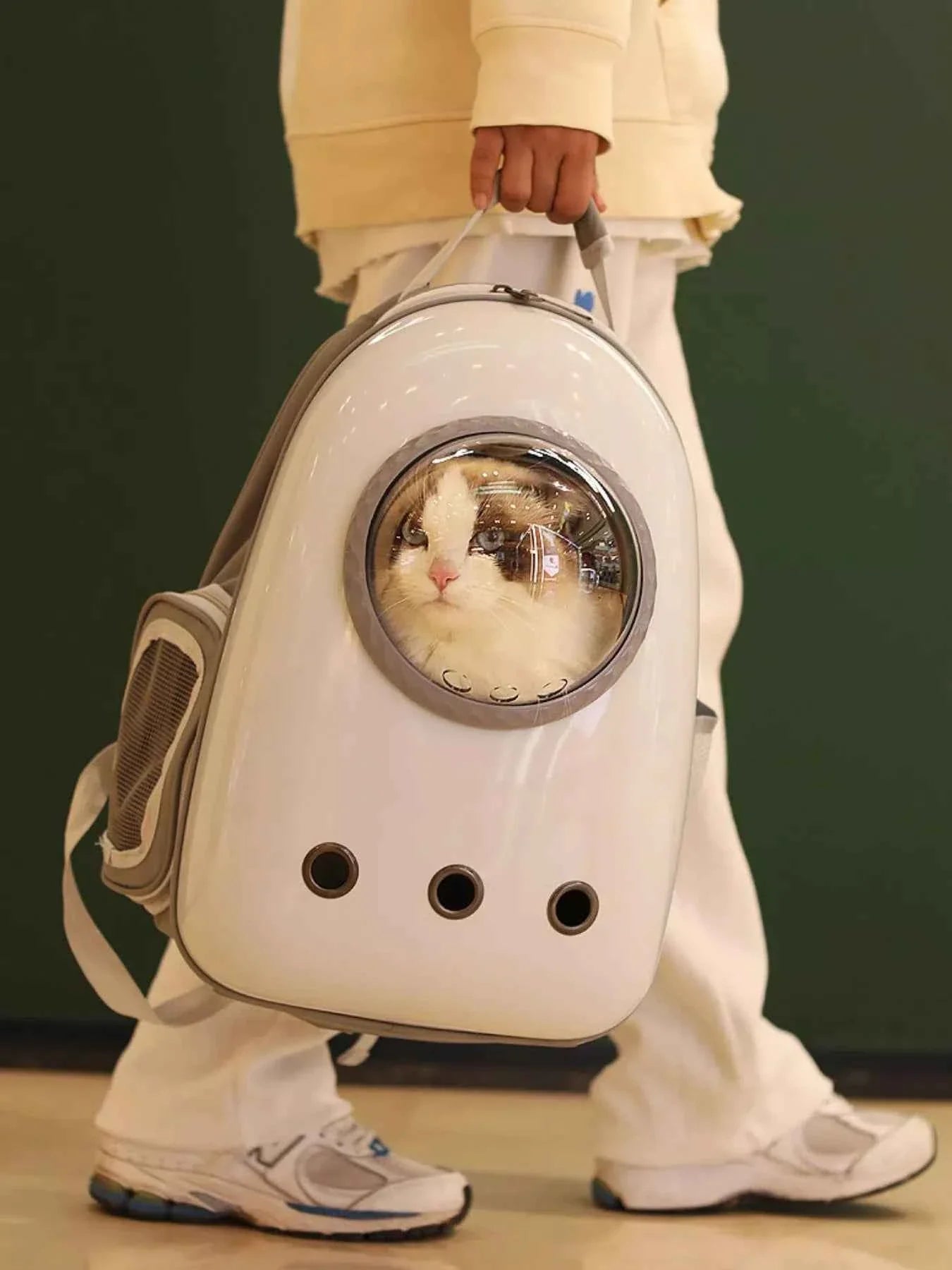 Pet Carrier Backpack - Space Capsule Transparent Bubble