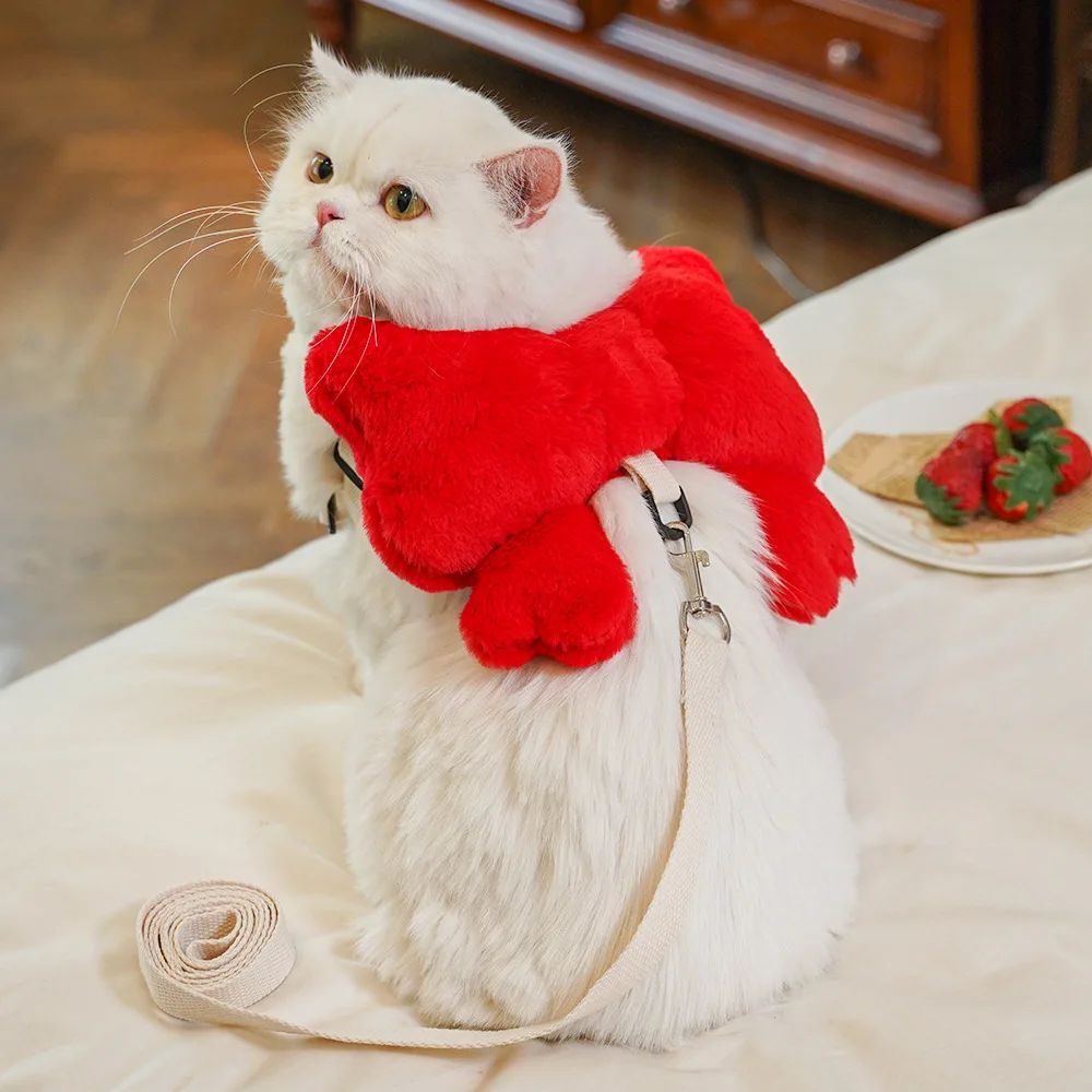 Bow Backpack Harness - Cute Pet Chest Strap Leash Set