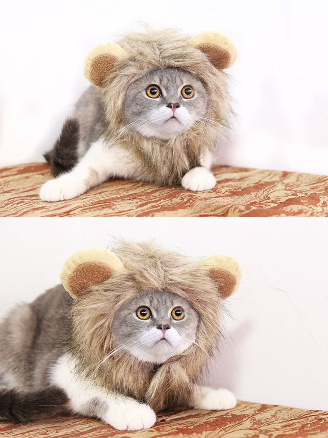 Pet Lion Mane Hat - Funny Costume Headwear for Cats and Dogs