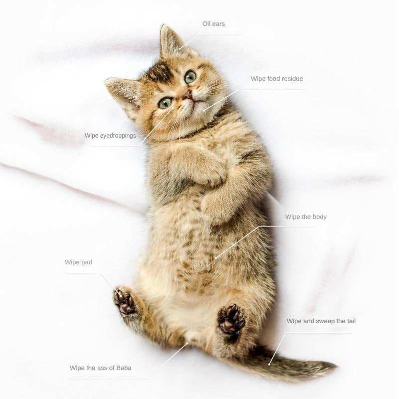 Pet Cleaning Deodorizing Bathing Coconut Oil Grooming Wipes