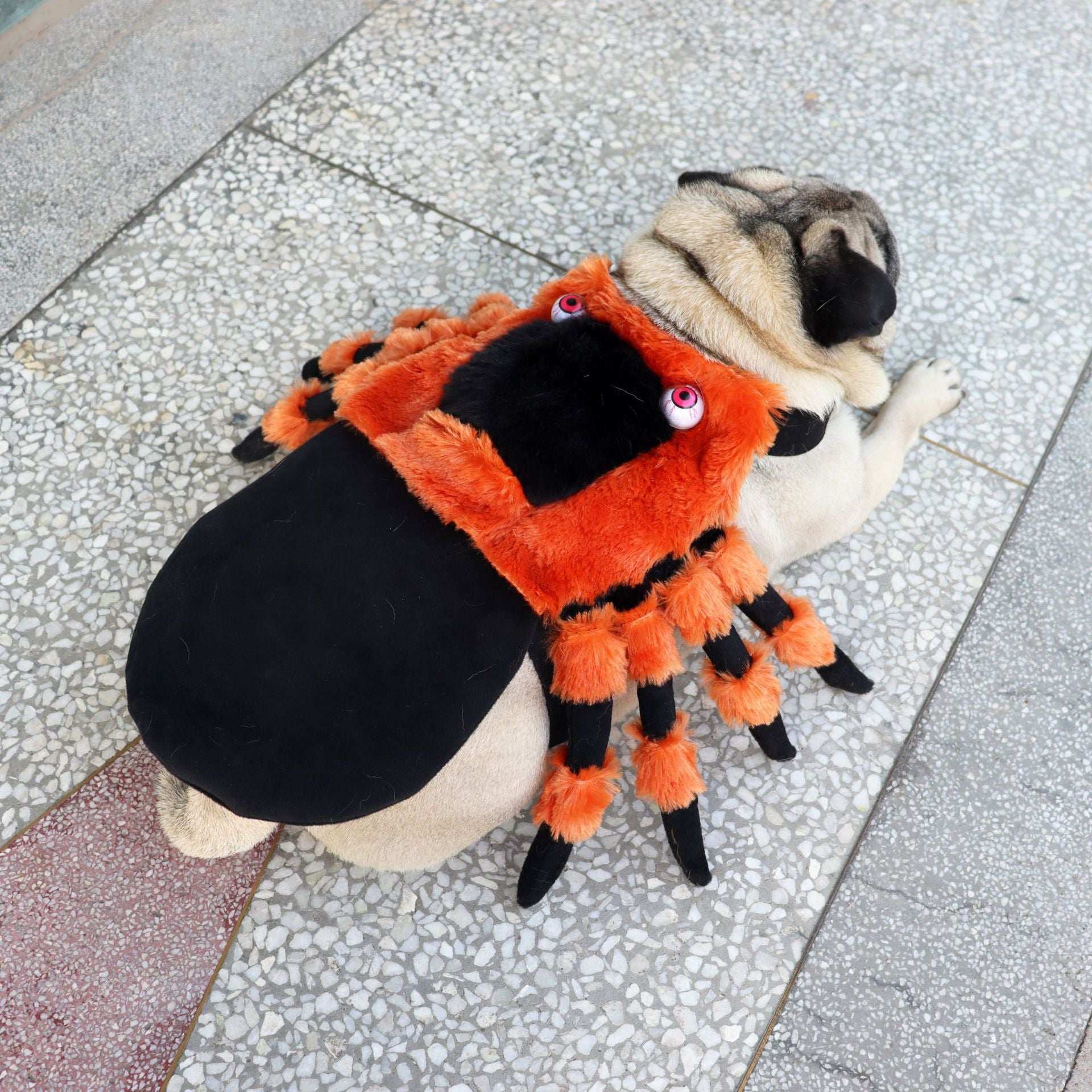 Cute Plush Spider Costume for Playful Pets