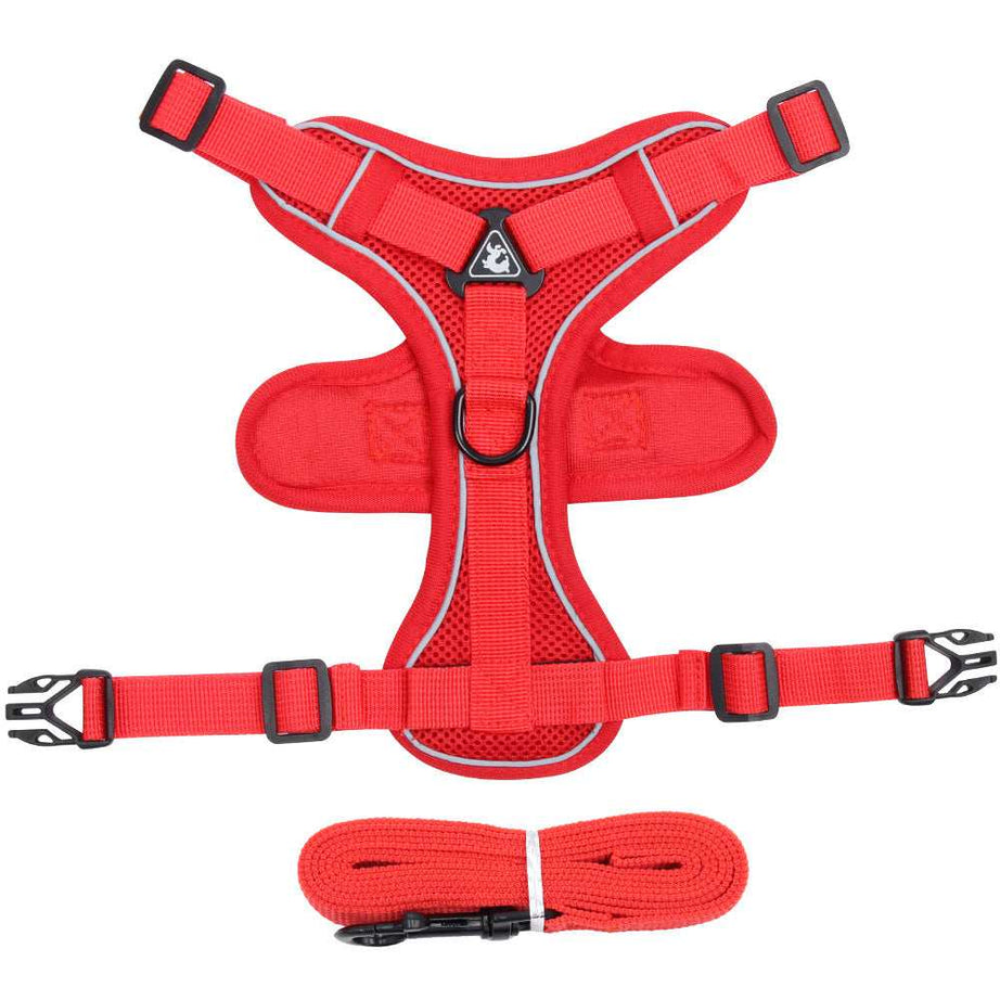 Fully Adjustable Cat Vest Pet Harness with Matching Leash