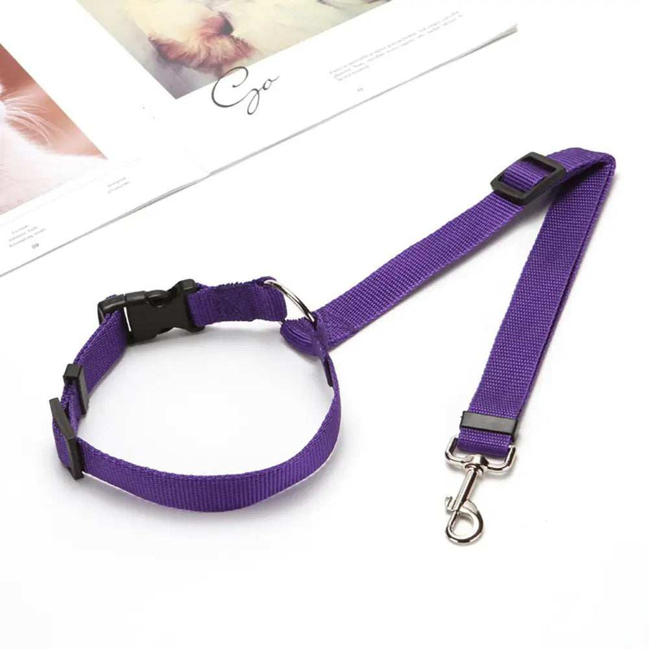 Adjustable Harness Solid Two-in-one Car BackSeat Pet Safety Belt Lead Leash
