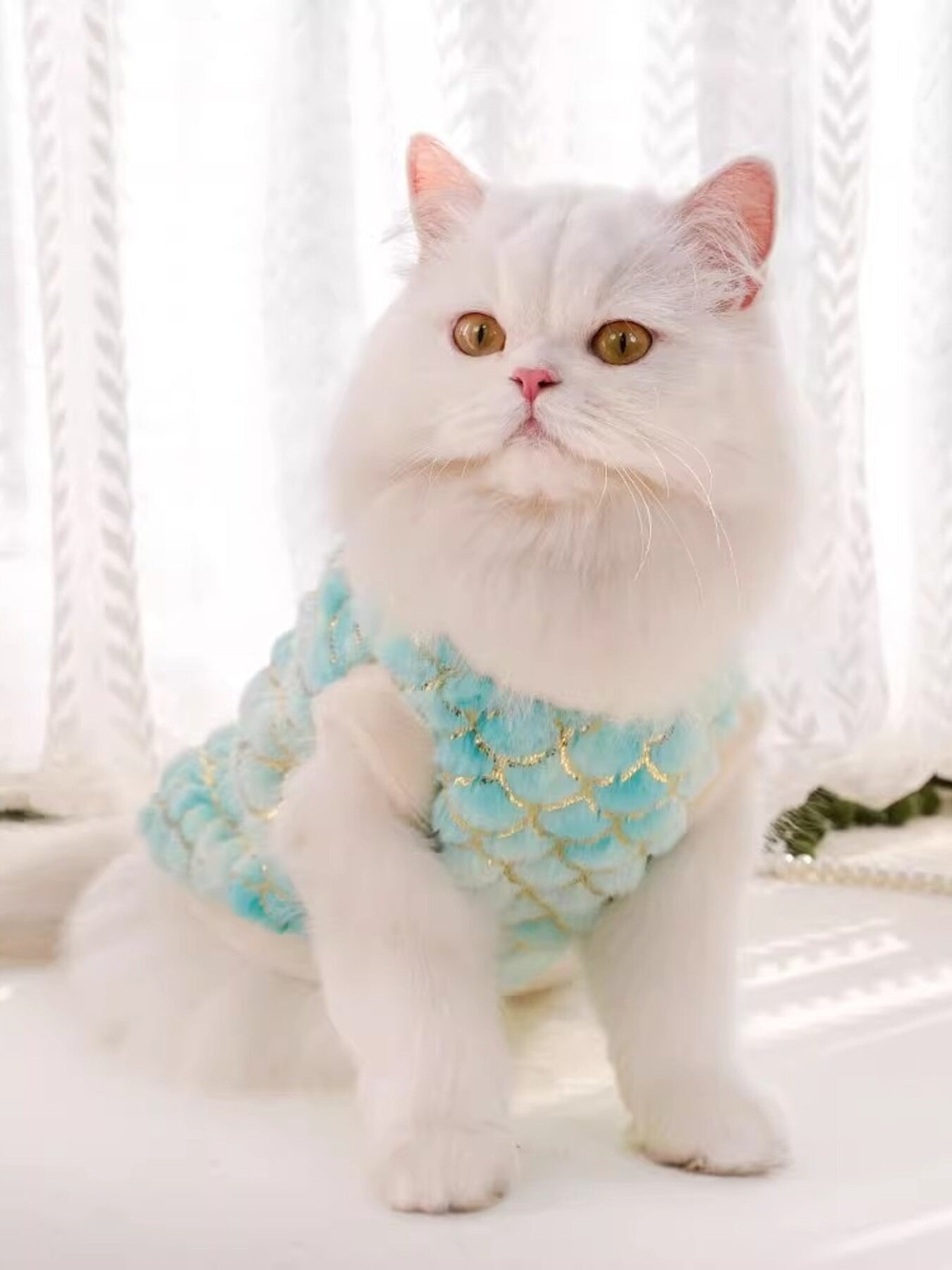 Mermaid Magic - Plush Top for Stylish Pets