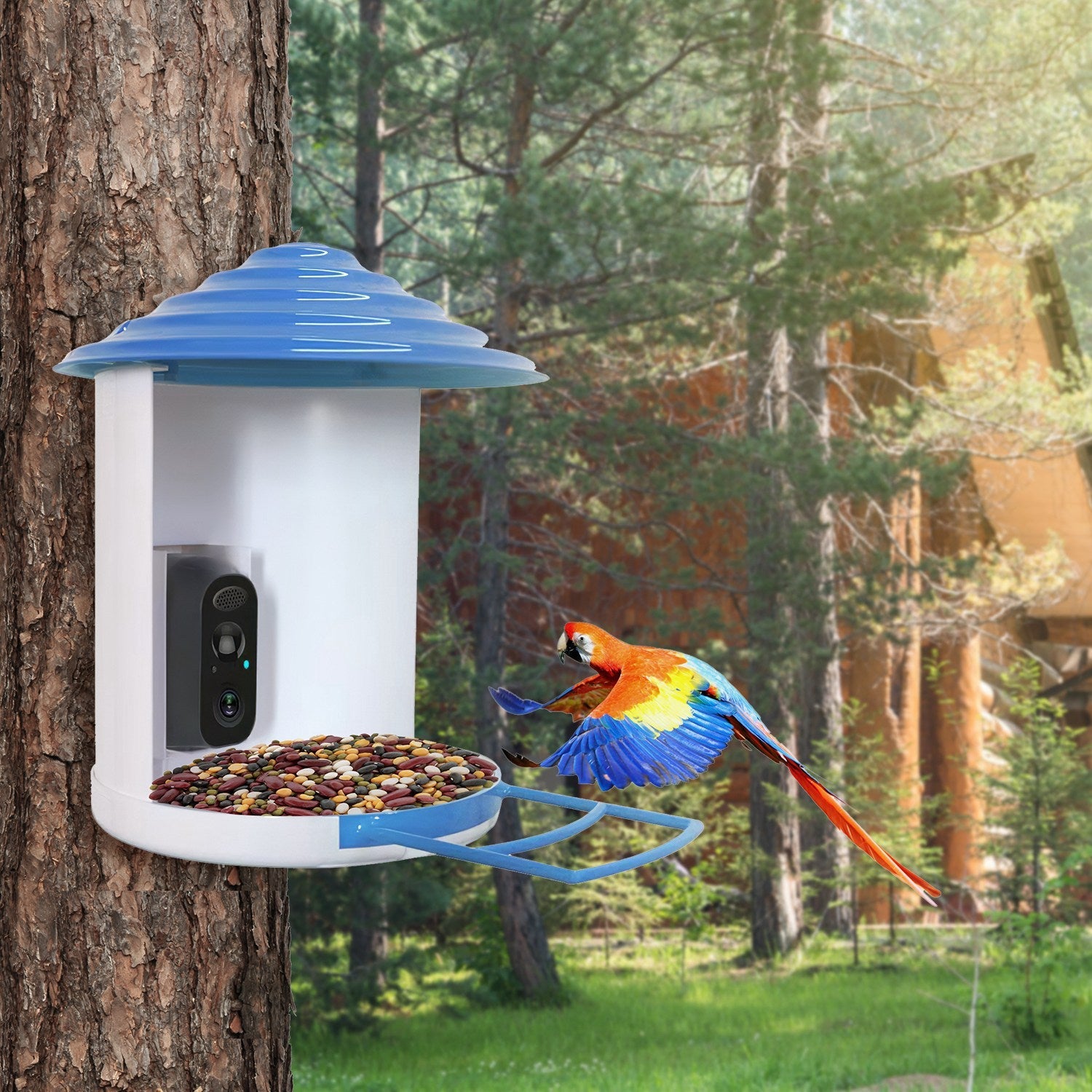BirdCam Pro Feeder - Smart Solar HD Camera with AI ID