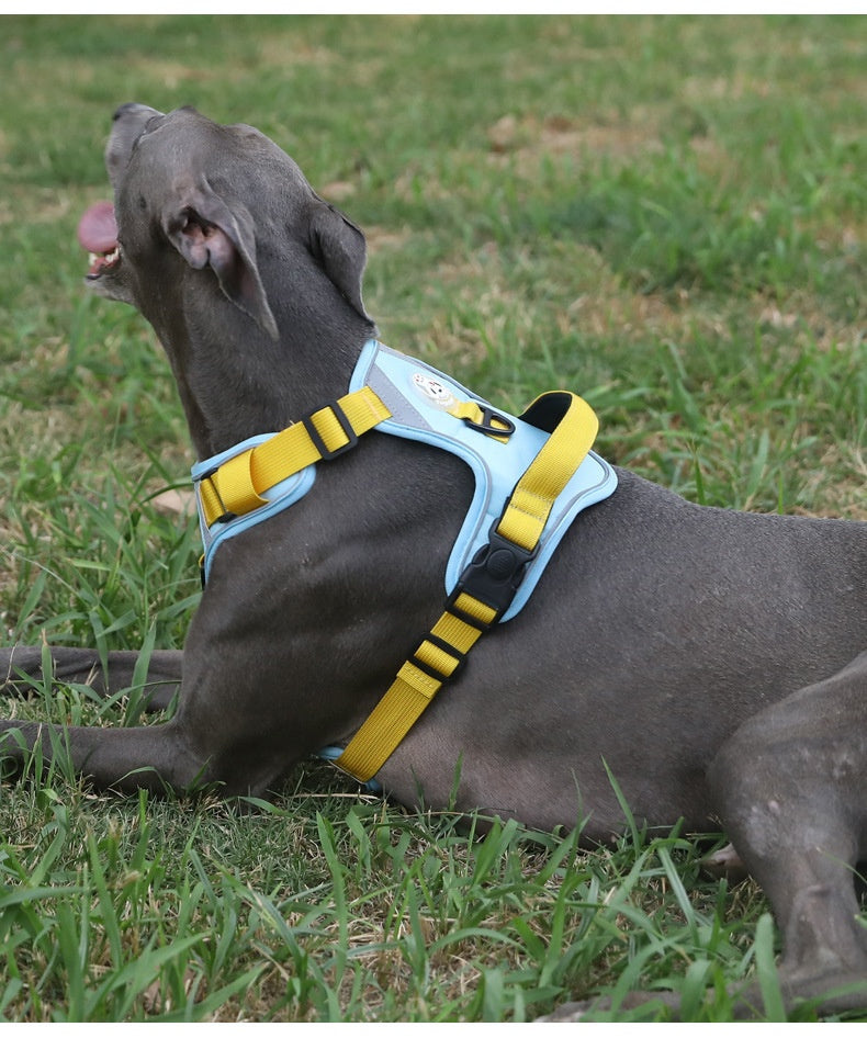 Adjustable Dog Harness - Large Chest Style with Leash