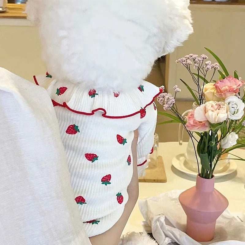 Summer Thin Lace Ruffle Strawberry Pet Cat Dog Clothes