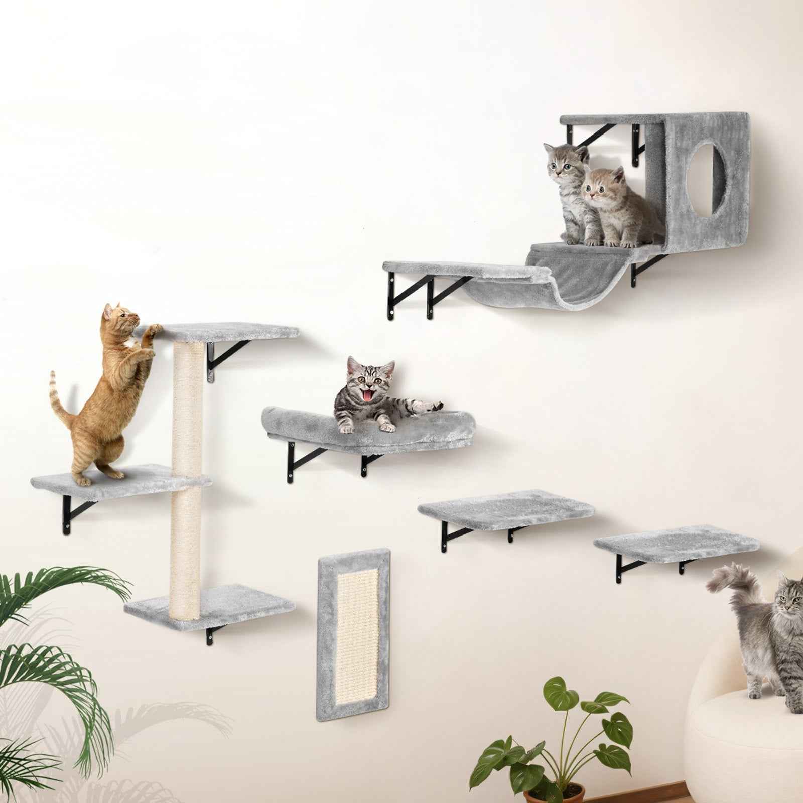 Wall-Mounted Cat Shelves & Climbing Tree Set with Hammock - 6 Pieces