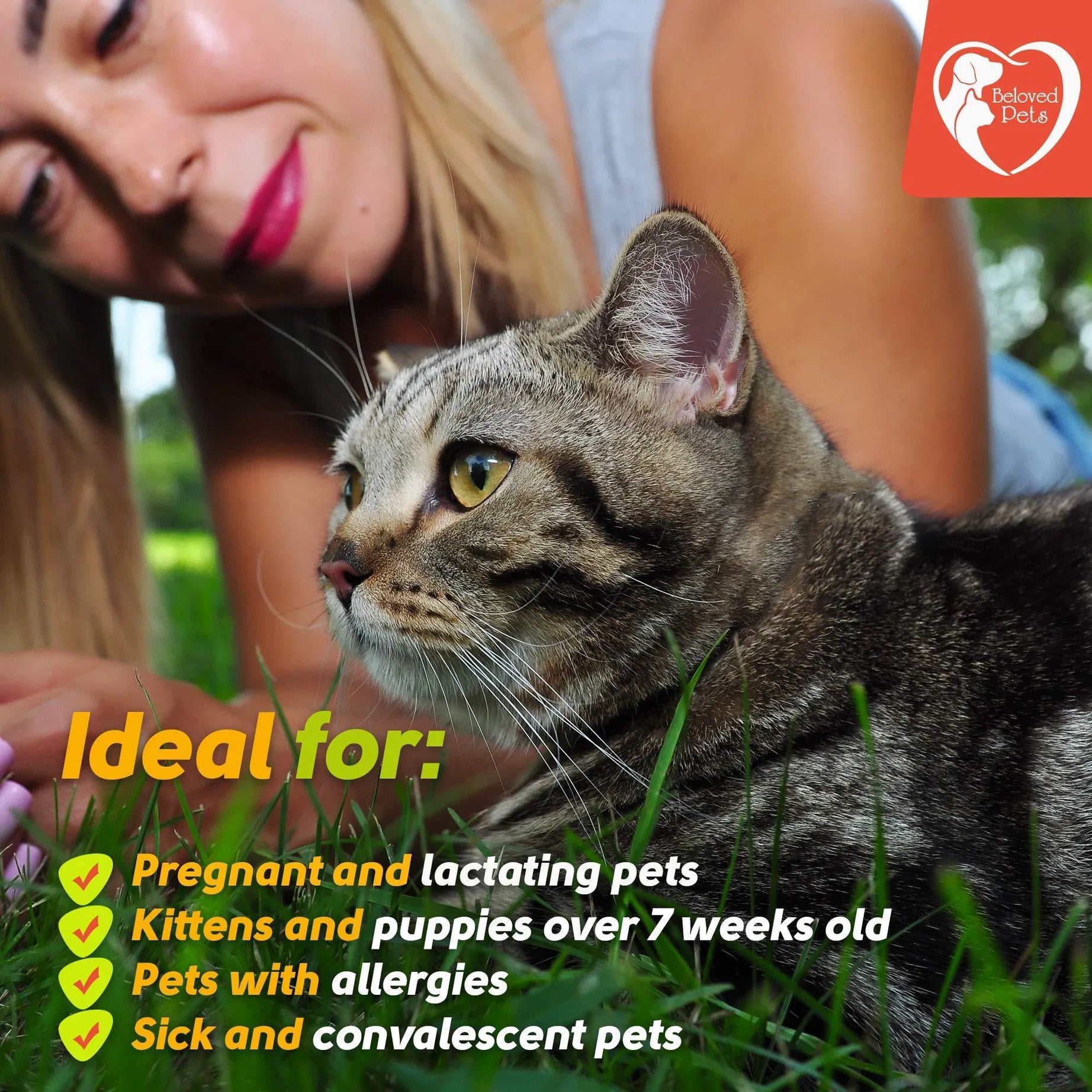 Natural Flea and Tick Treatment Drops - Dogs Cats Rabbits