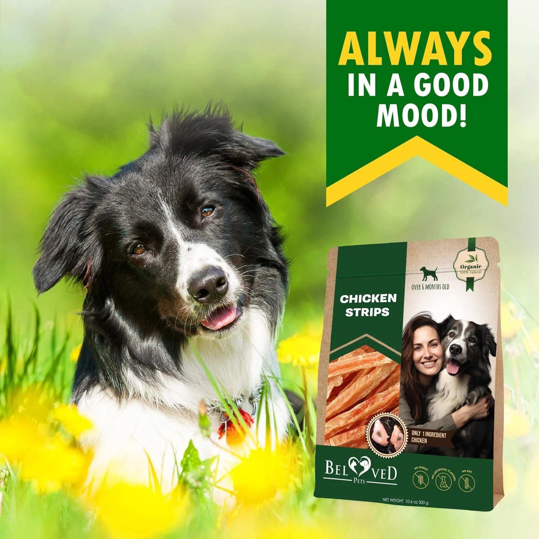 Human Grade Grain Free Meat Chicken Strips Dog Treats 10.6 Oz