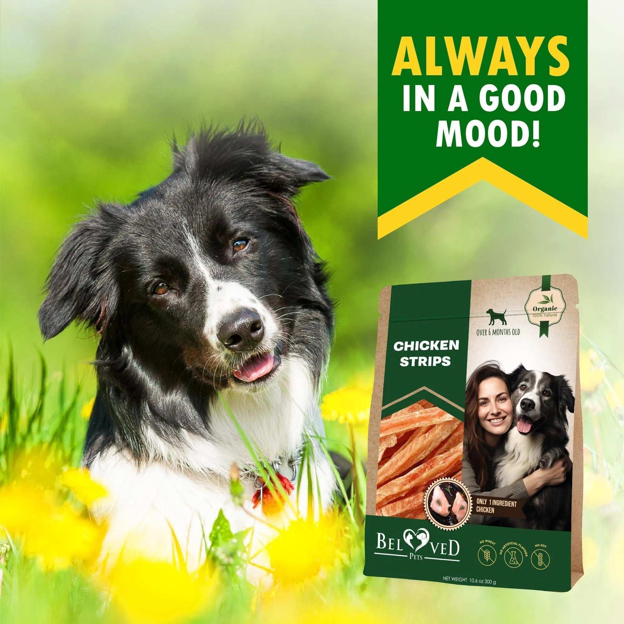Human Grade Grain Free Meat Chicken Strips Dog Treats 10.6 Oz