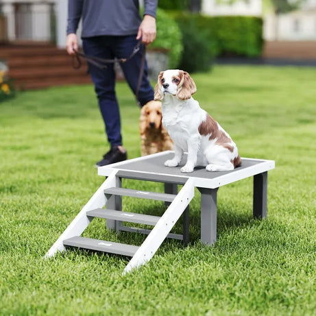 Agility Platform Pro - Wooden Dog Training Board