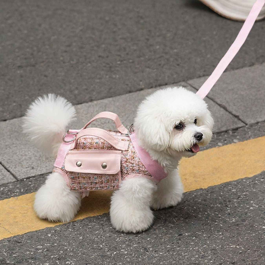 Tweed Pet Harness with Strap - Chic Carry Handle
