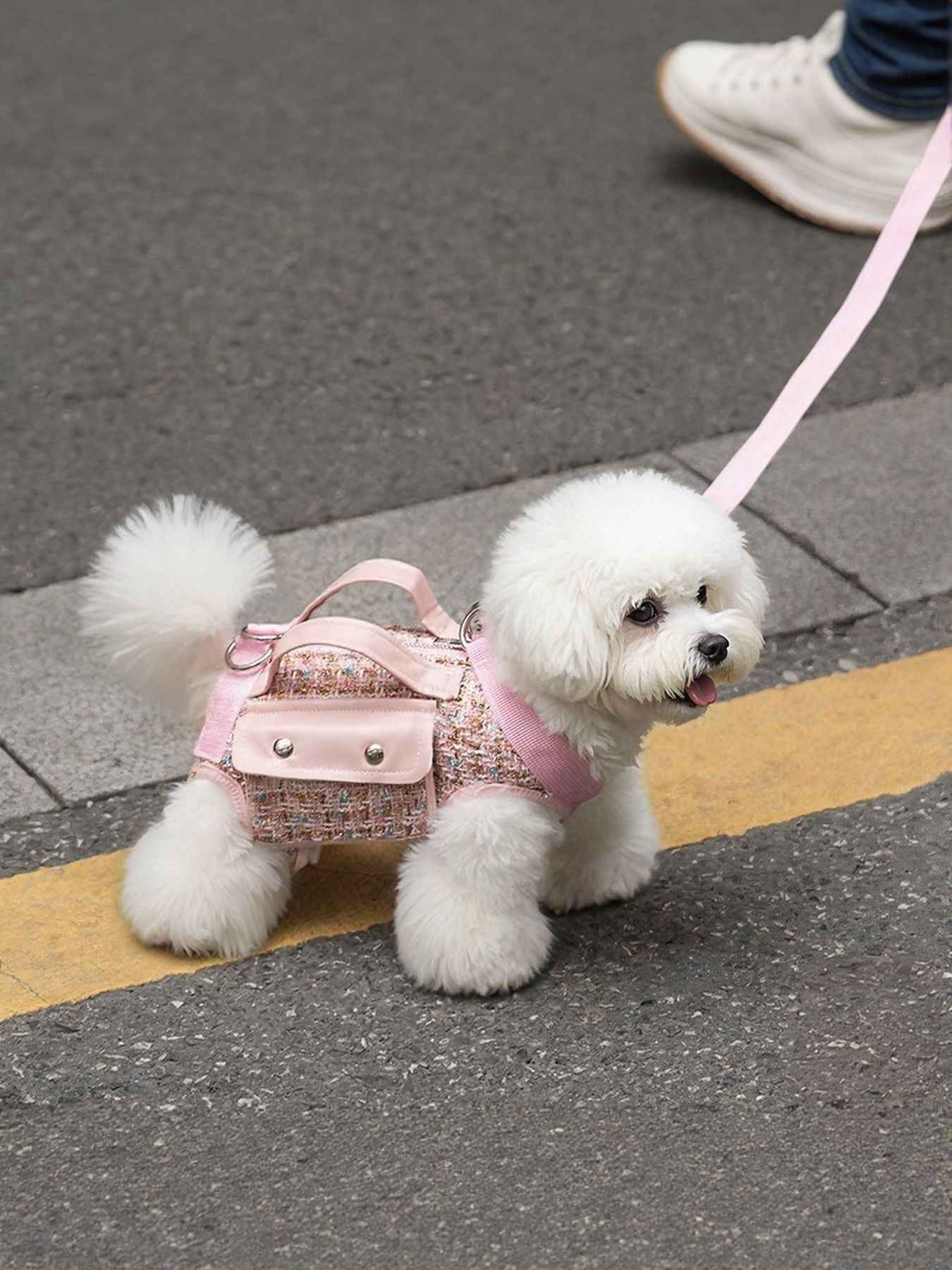 Tweed Pet Harness with Strap - Chic Carry Handle
