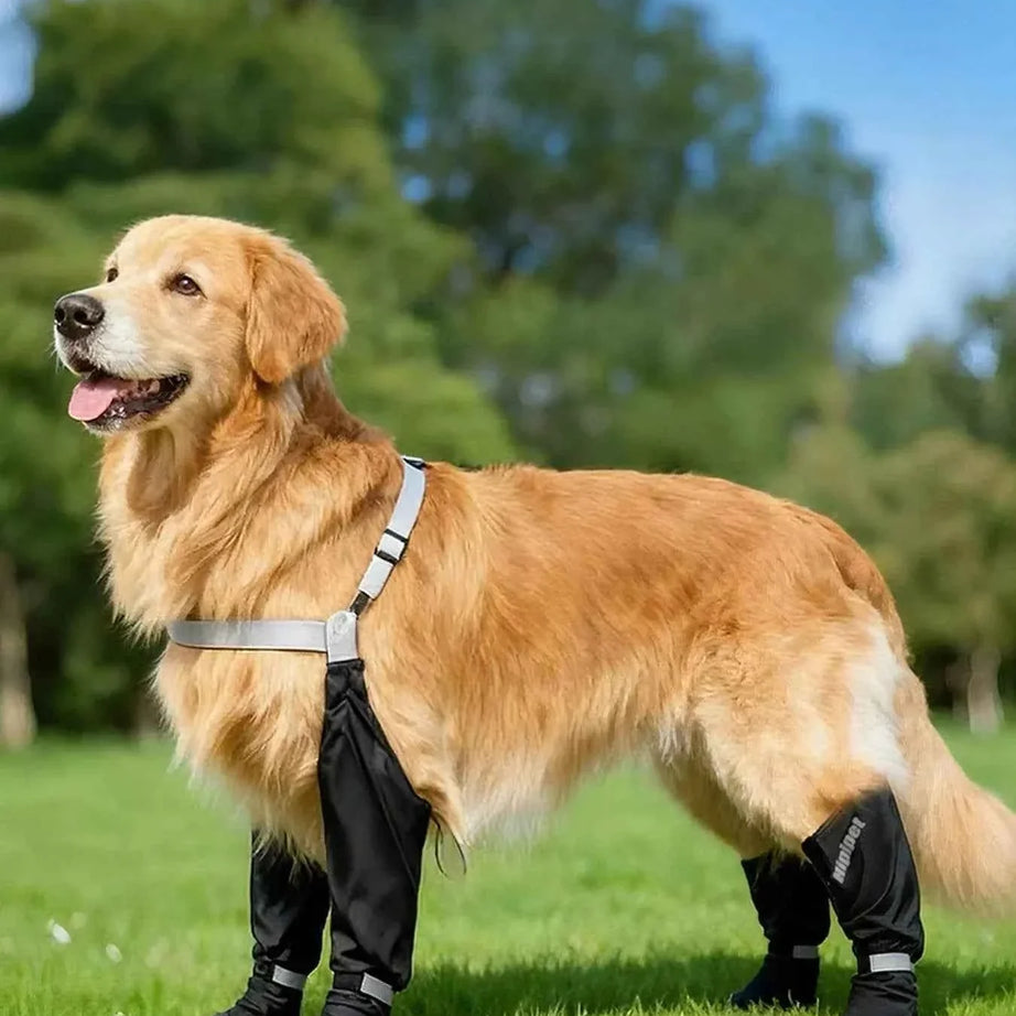 Dog Boots Waterproof Protective - Adjustable Paw Shoes