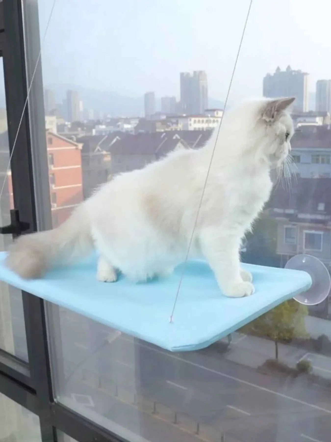 Cat Window Perch - Hammock with Suction Cups