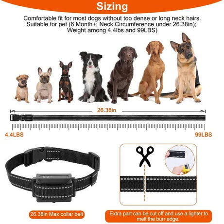 Pro Range Trainer - 3280FT Waterproof Dog Training Collar