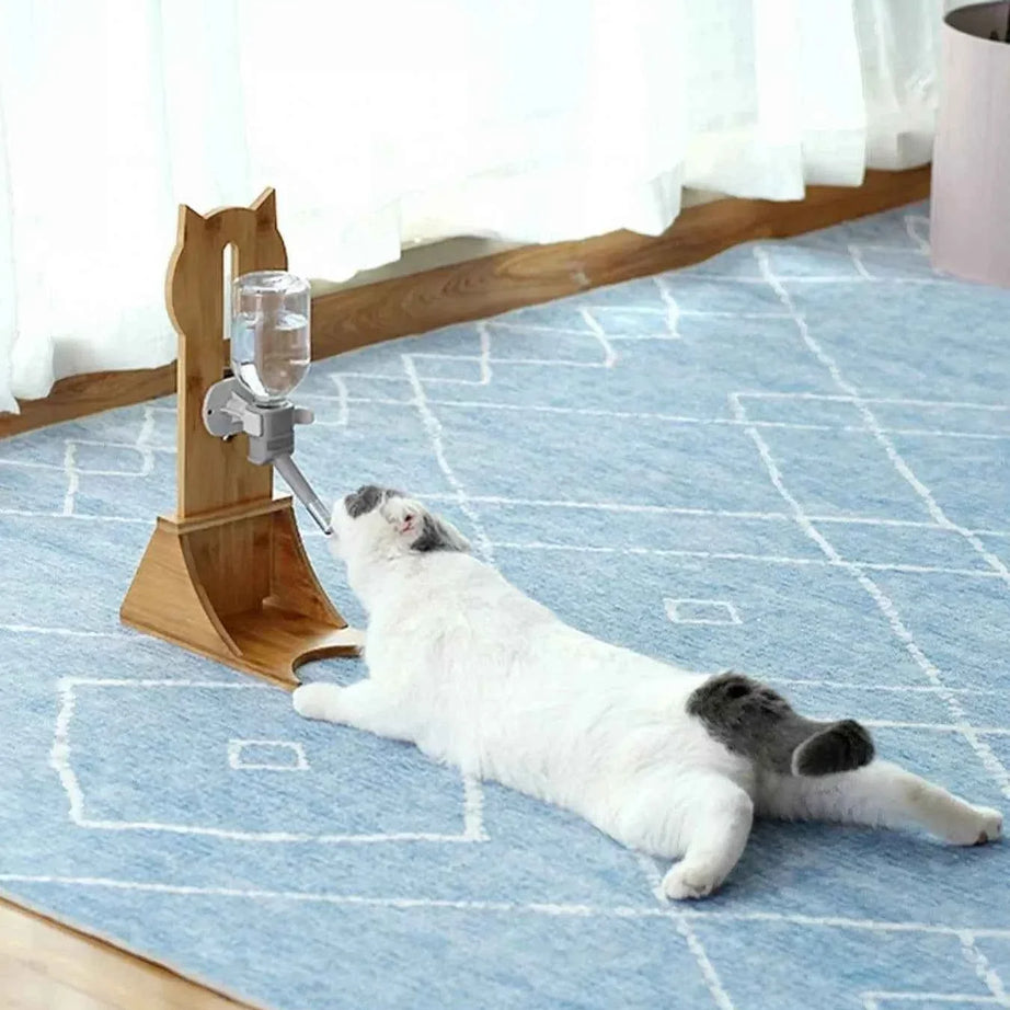 Pet Water Dispenser - Elevated Wooden Base