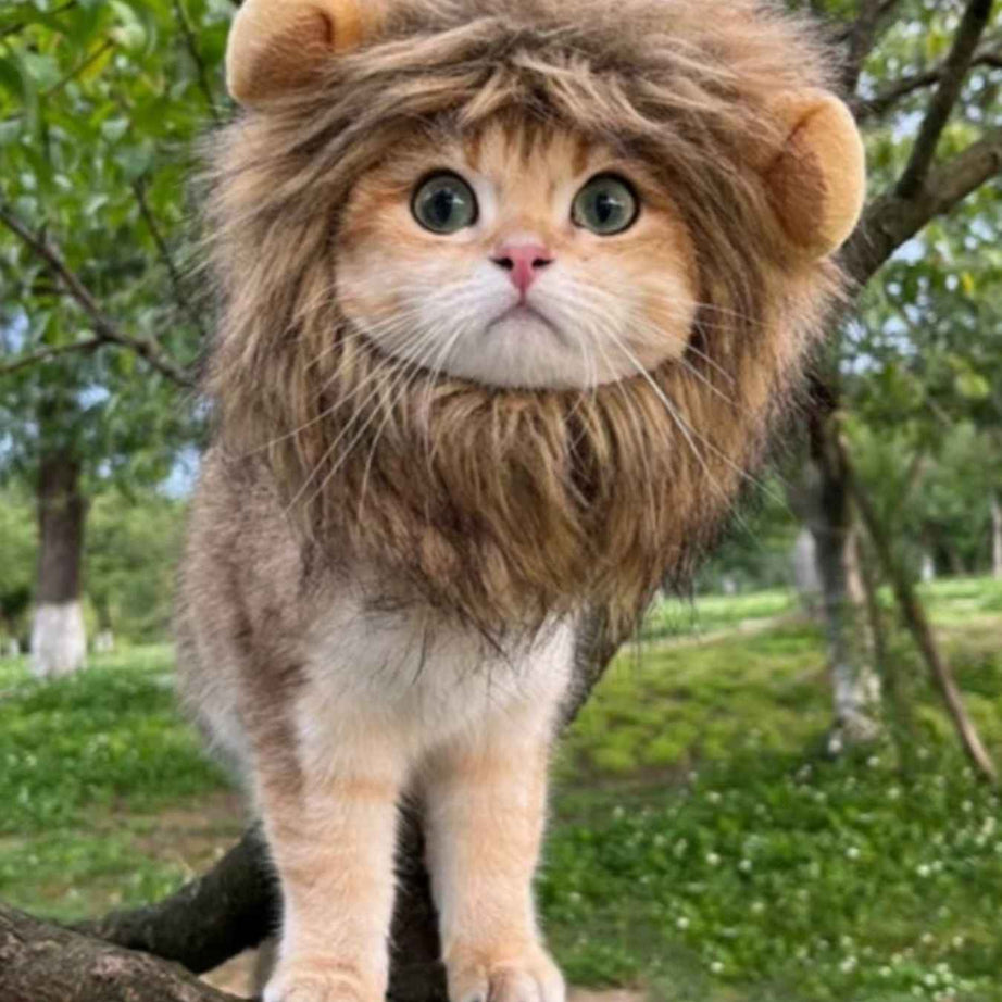 Pet Lion Mane Hat - Funny Costume Headwear for Cats and Dogs