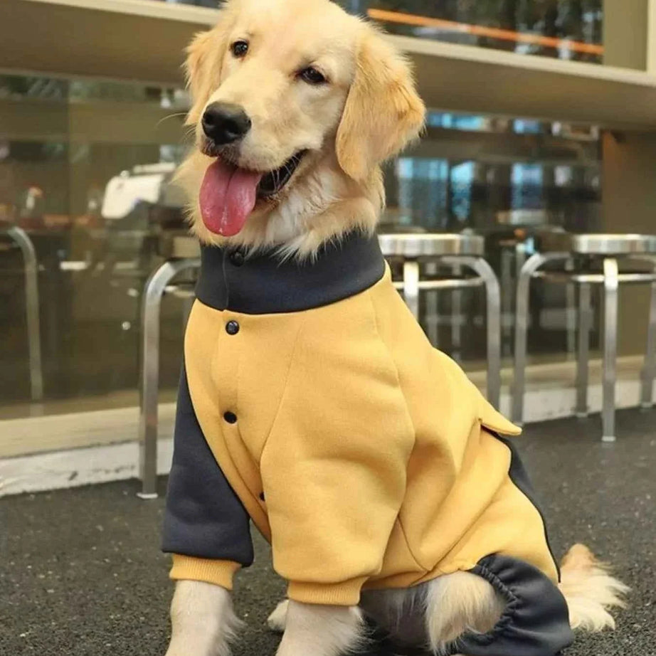 Dog Jacket Two-Tone - Button Closure Collar Coat