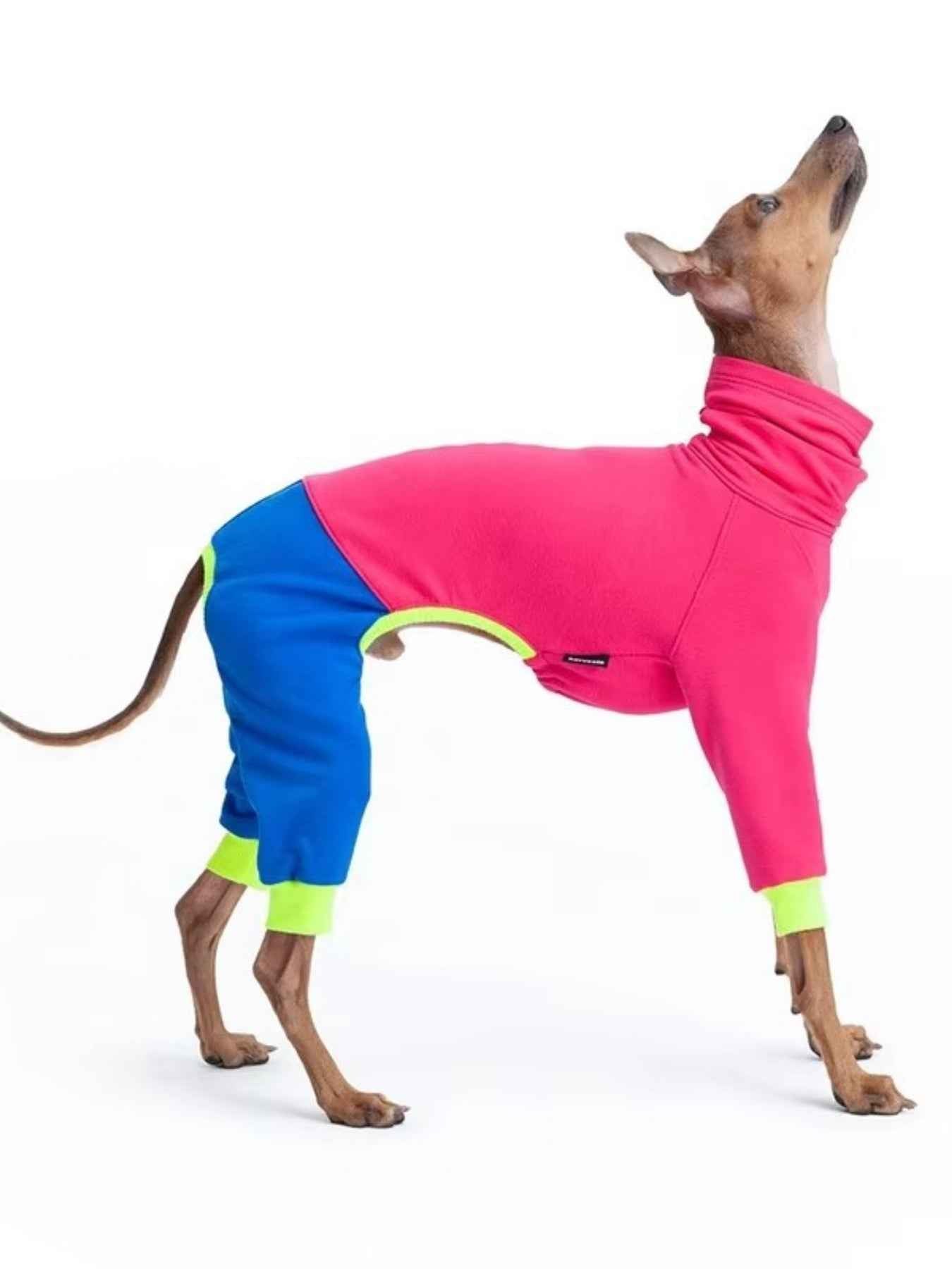 Dog Color Block Jumpsuit - Turtleneck Four-Leg Onesie Extended Sizes