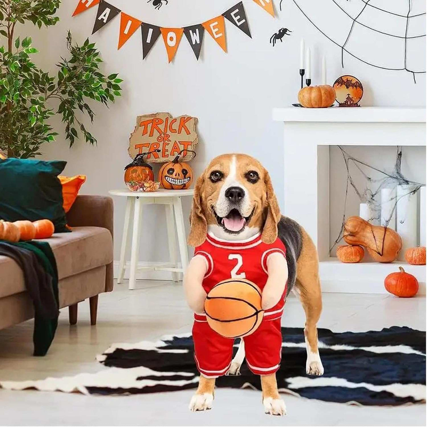 Dog Halloween Costume Basketball Player Jersey