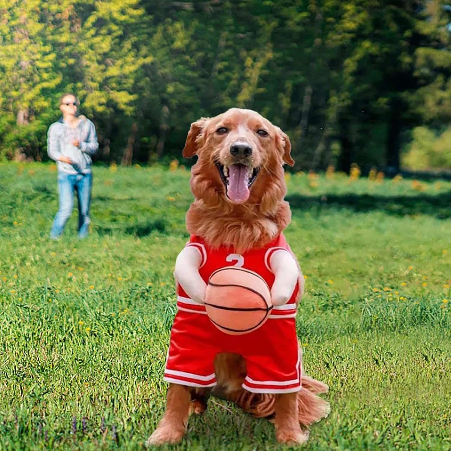 Dog Halloween Costume Basketball Player Jersey
