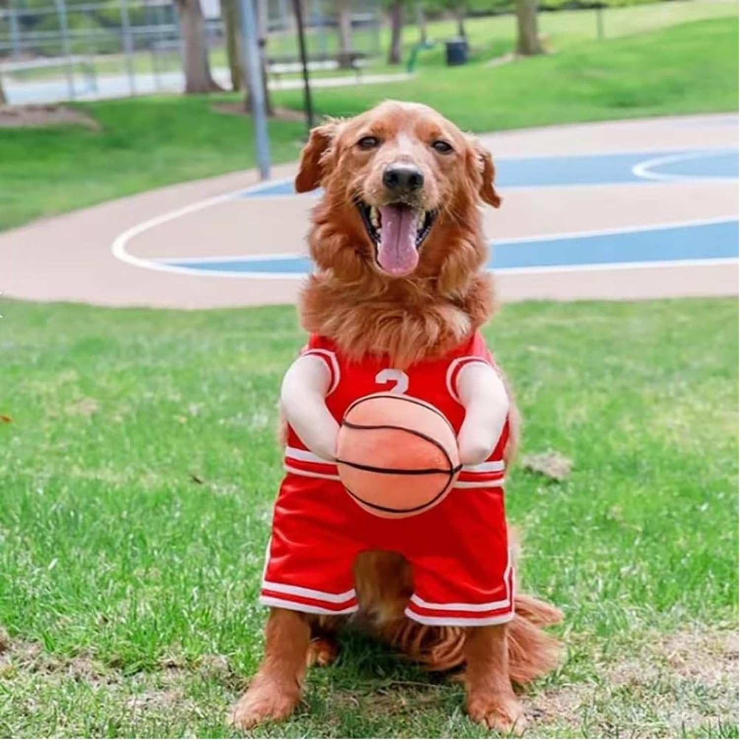 Dog Halloween Costume Basketball Player Jersey