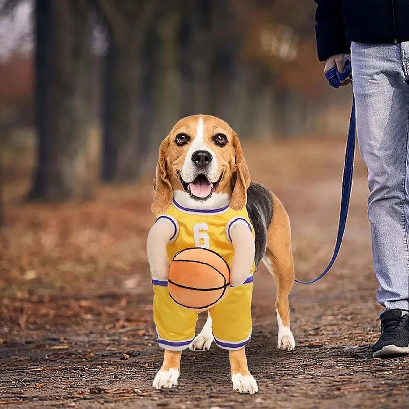 Dog Halloween Costume Basketball Player Jersey