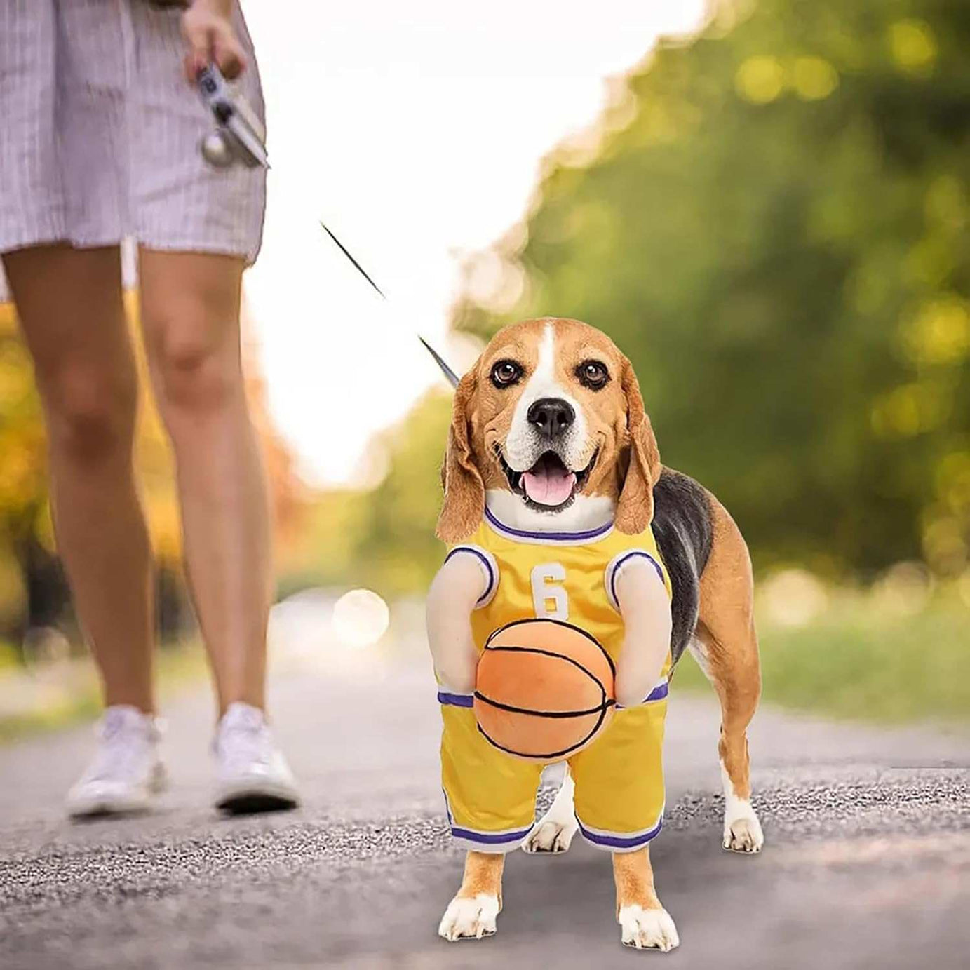 Dog Halloween Costume Basketball Player Jersey
