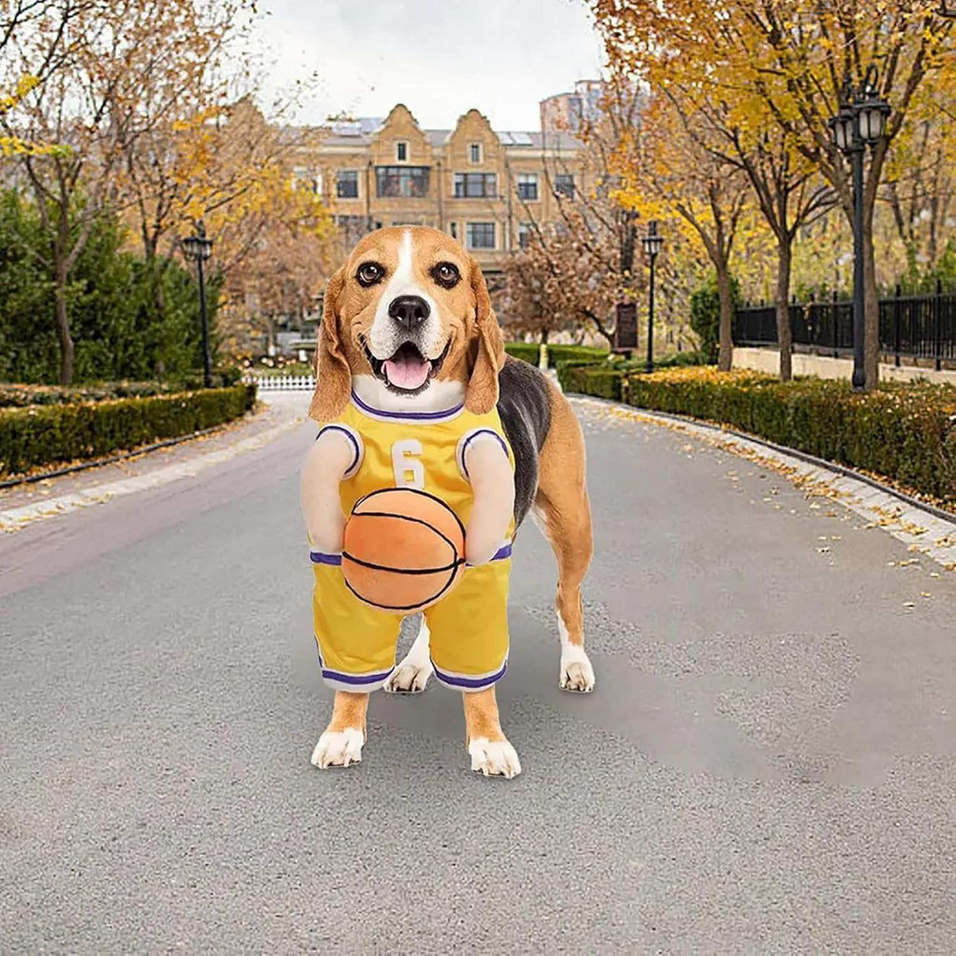 Dog Halloween Costume Basketball Player Jersey