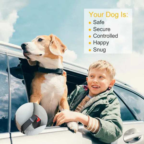 Dual Purpose Adjustable Safety Pet Dog Car Seat Belt Leash Leads Harness 2 Piece