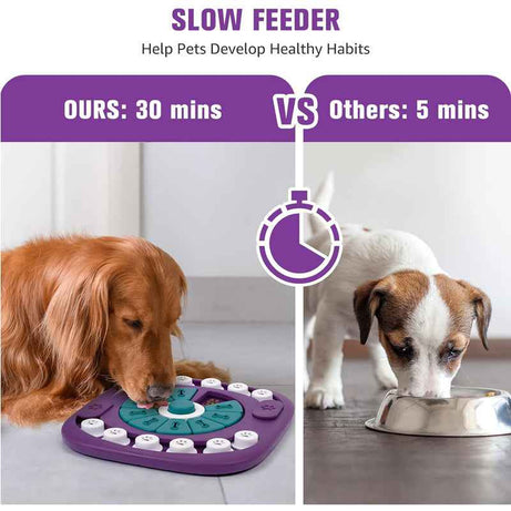 Dog Puzzle Toy - 24 Hole Treat Slider with Squeak Button Enrichment