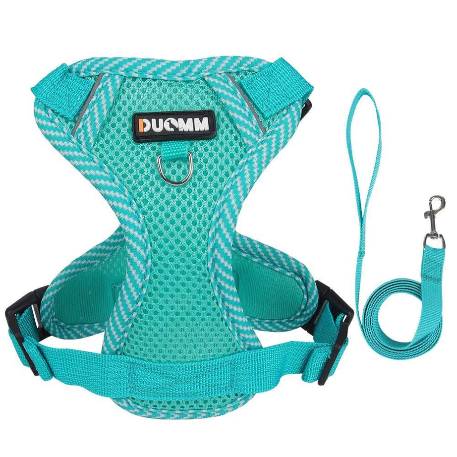 Fully Adjustable Cat Vest Pet Harness with Matching Leash