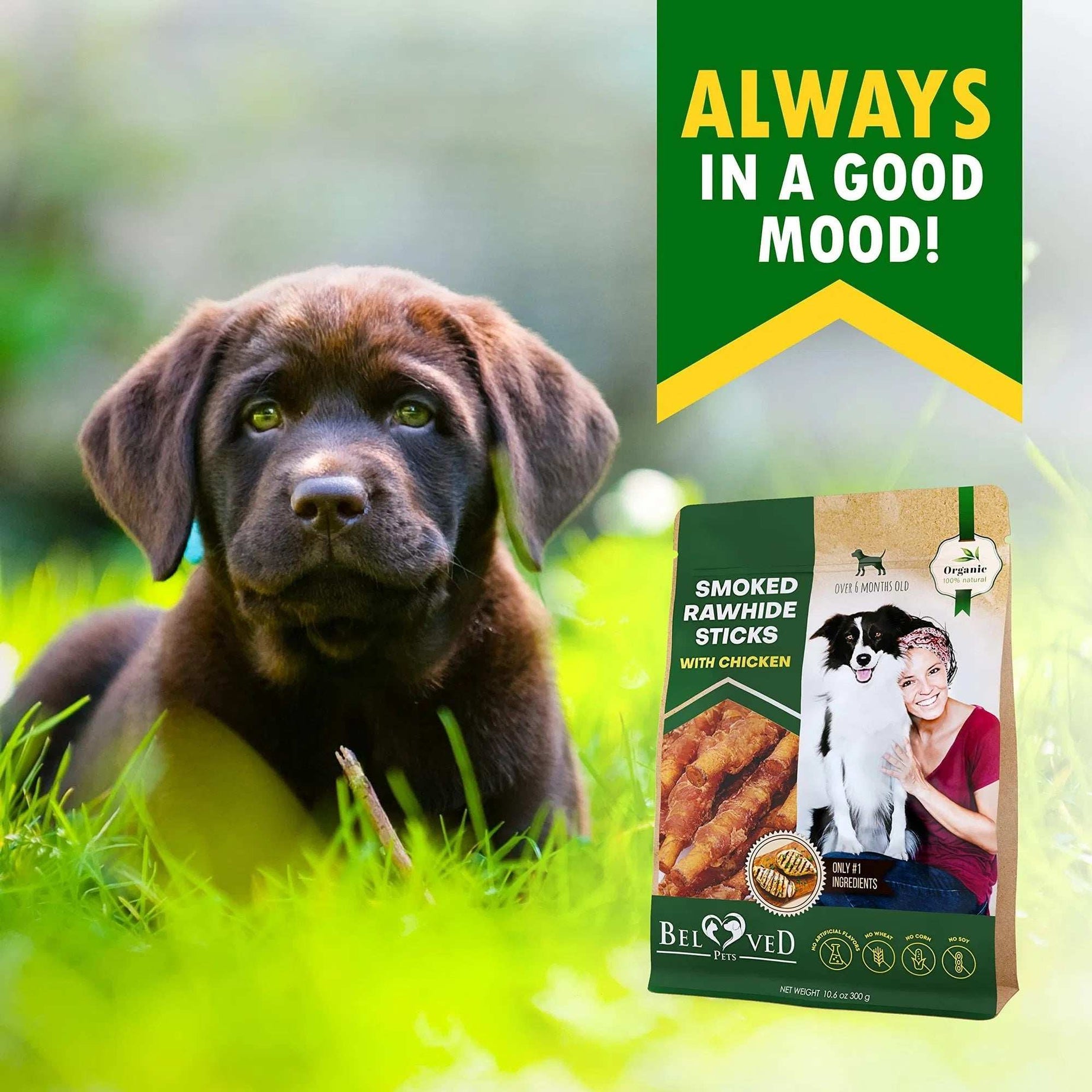 Dog Smoked Rawhide Sticks Wrapped Chicken Pet Natural Chew Treats Grain Free Organic Meat Healthy Human Grade Dried Snacks In Bulk