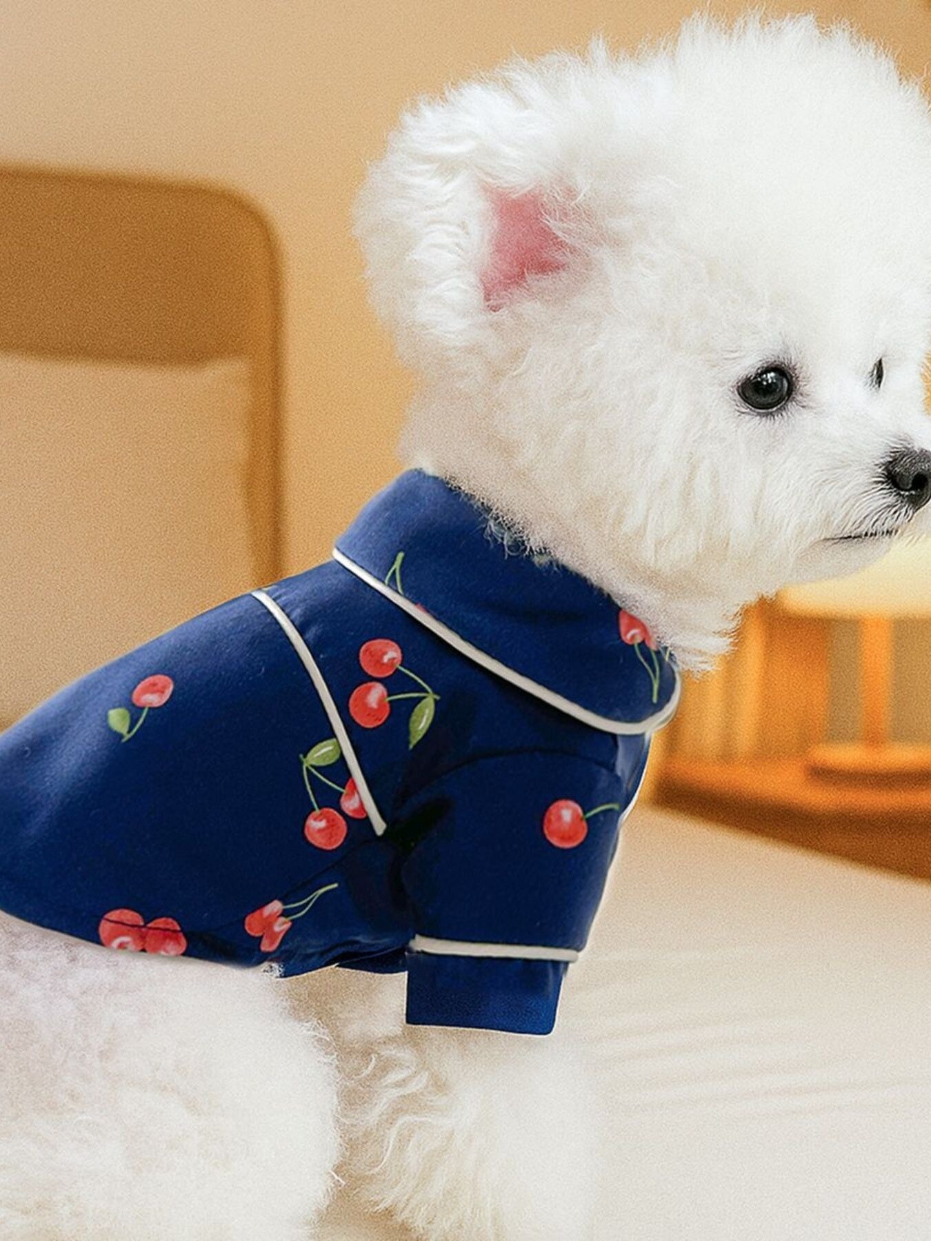 Satin Pet Pajamas with Contrast Piping