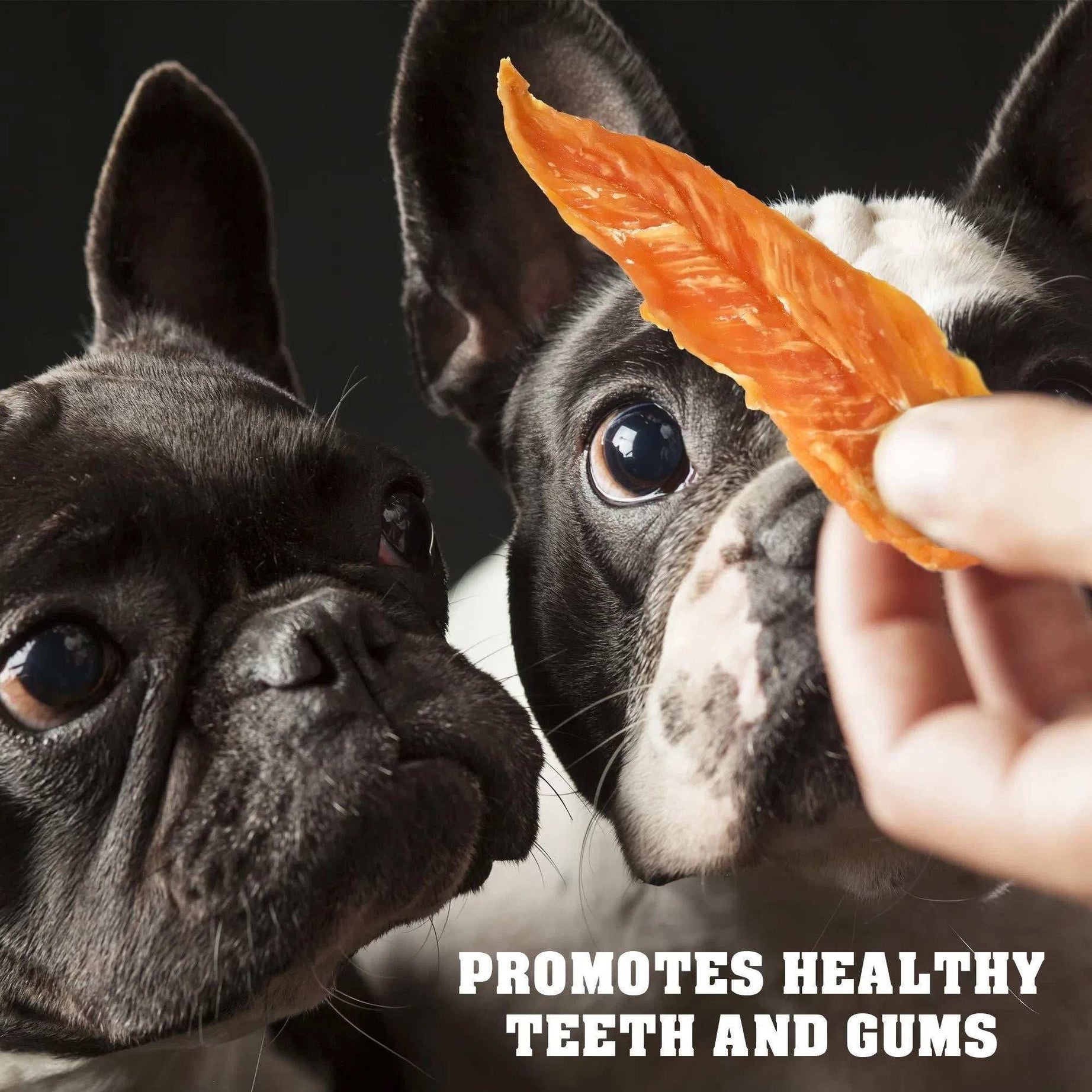 Chicken Jerky Dog Treats 1.5 Lb Human Grade Pet Snacks Grain Free Organic Meat All Natural High Protein Dried Strips Best Chews For Training Small & Large Dogs