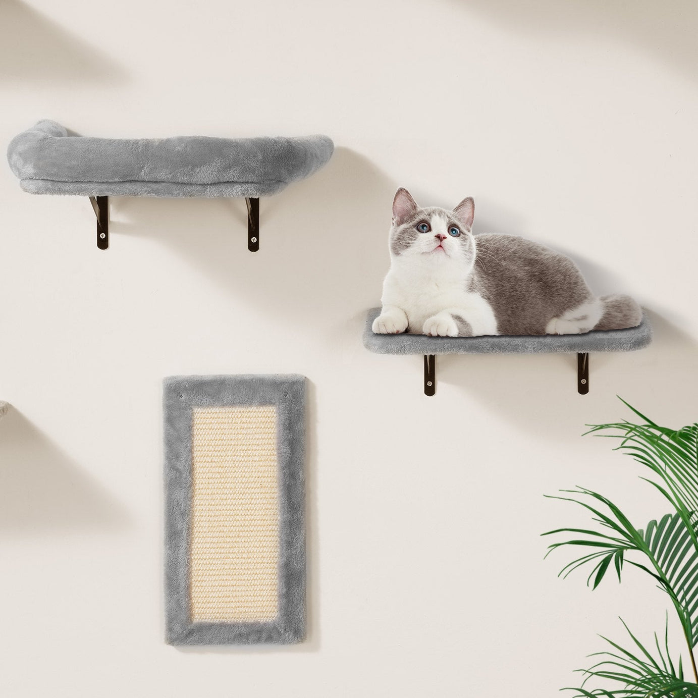 Wall-Mounted Cat Shelves & Climbing Tree Set with Hammock - 6 Pieces