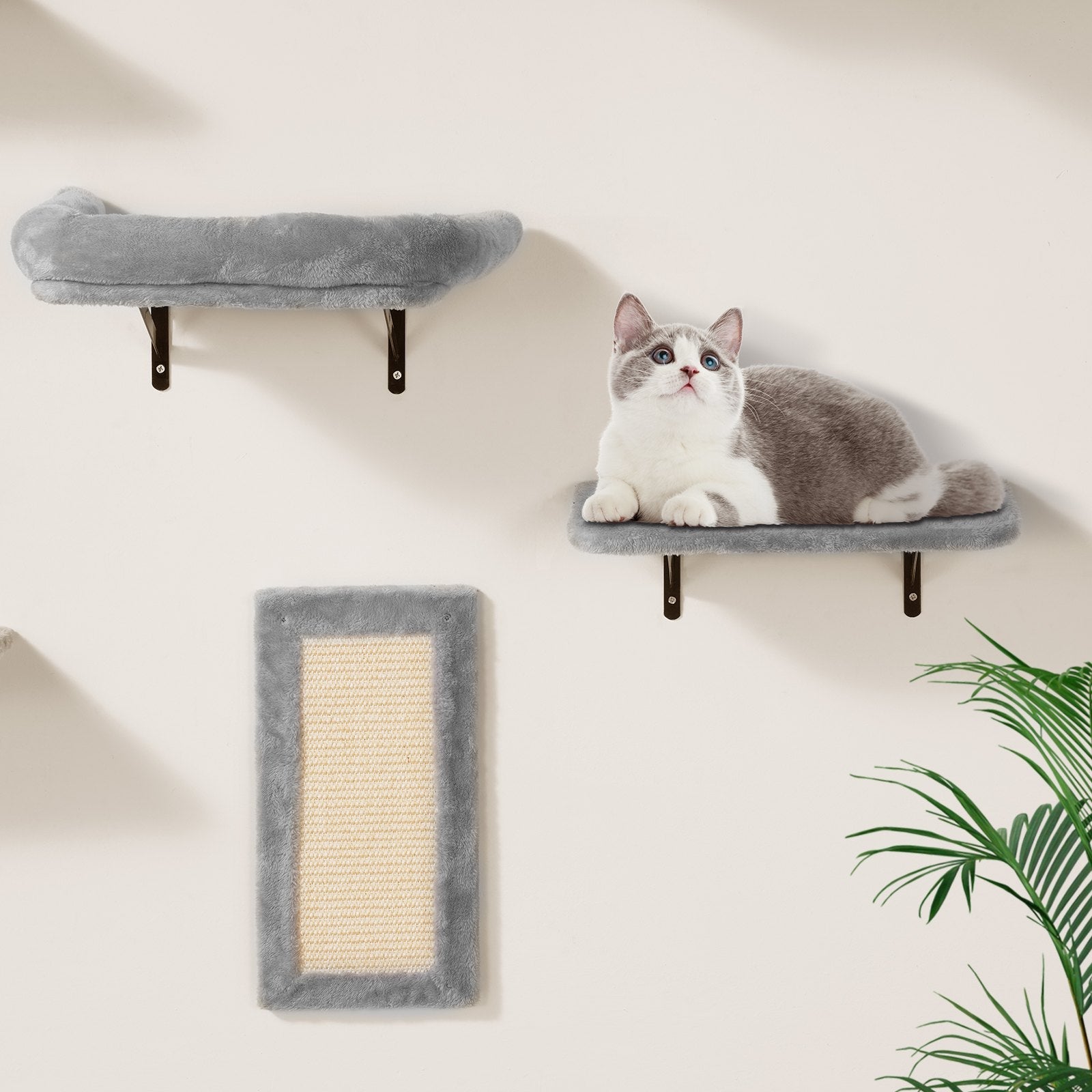 Wall-Mounted Cat Shelves & Climbing Tree Set with Hammock - 6 Pieces