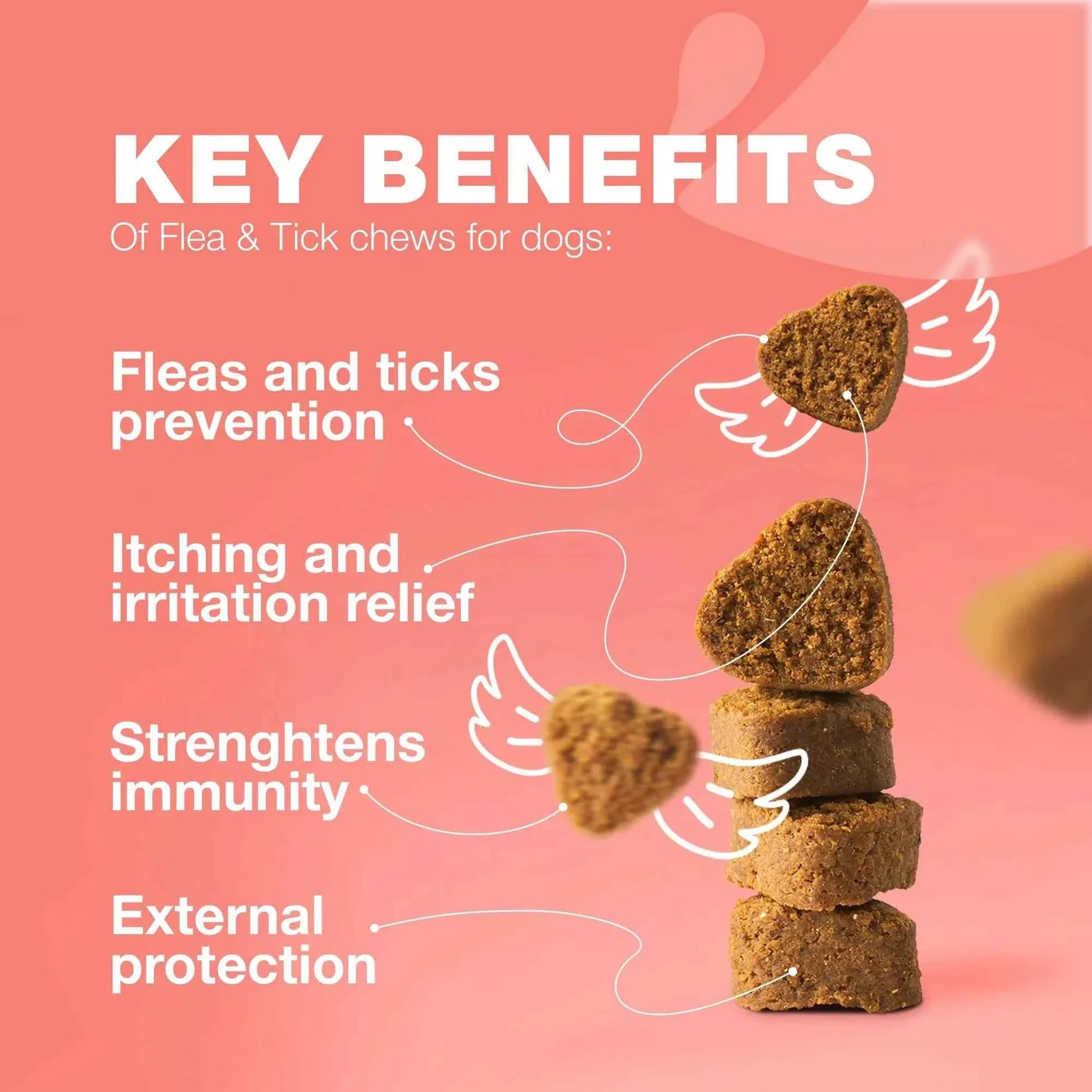Dog Flea and Tick Chews - Chewia Vet Formulated Soft Chews 180 Count