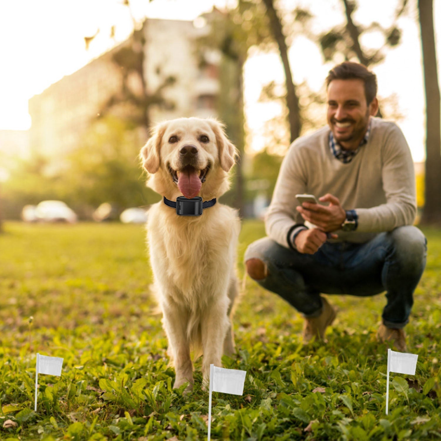 Dog Electric Fence System - In-Ground Wire Boundary 1.2 Acres
