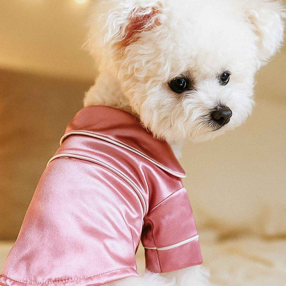 Satin Pet Pajamas with Contrast Piping