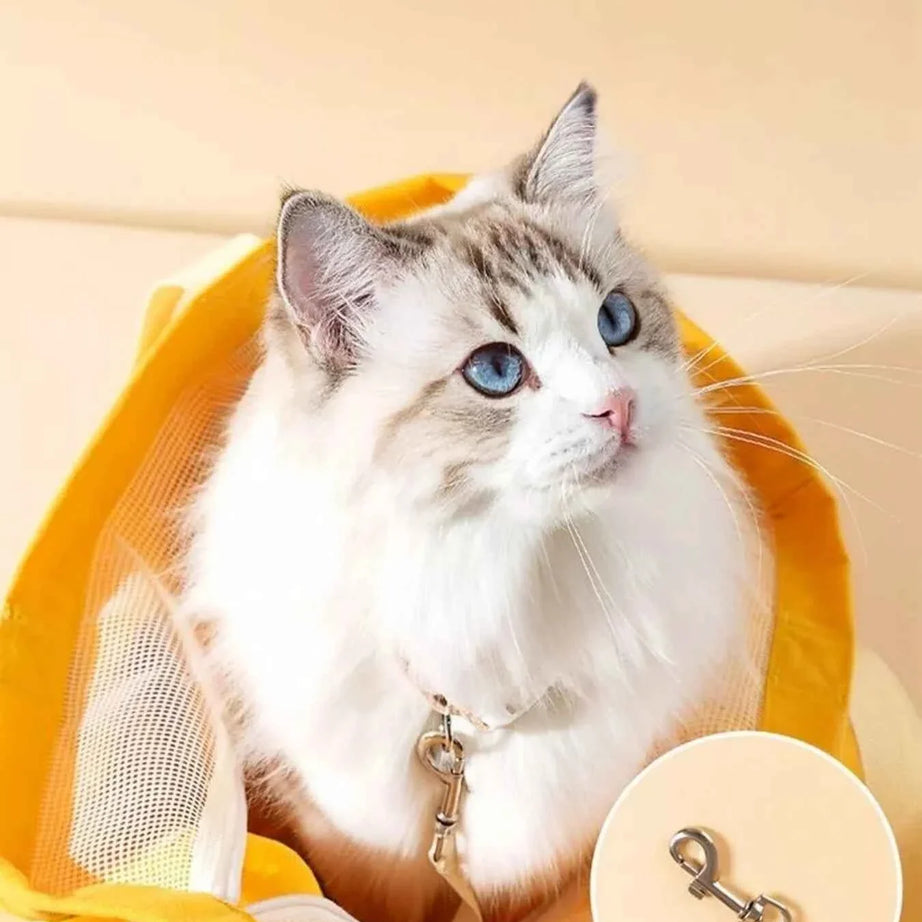 Portable Pet Bag - Breathable Canvas Carrier