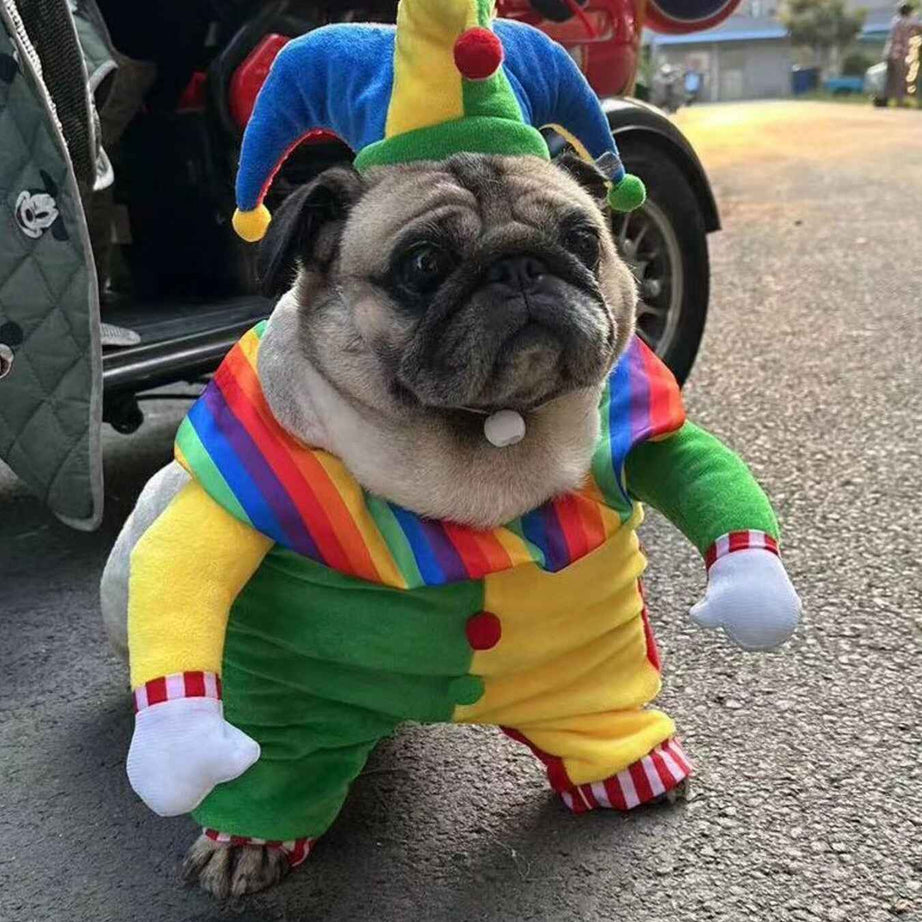 Pet Clown Costume Jumpsuit - Colorful Halloween Outfit with Hat