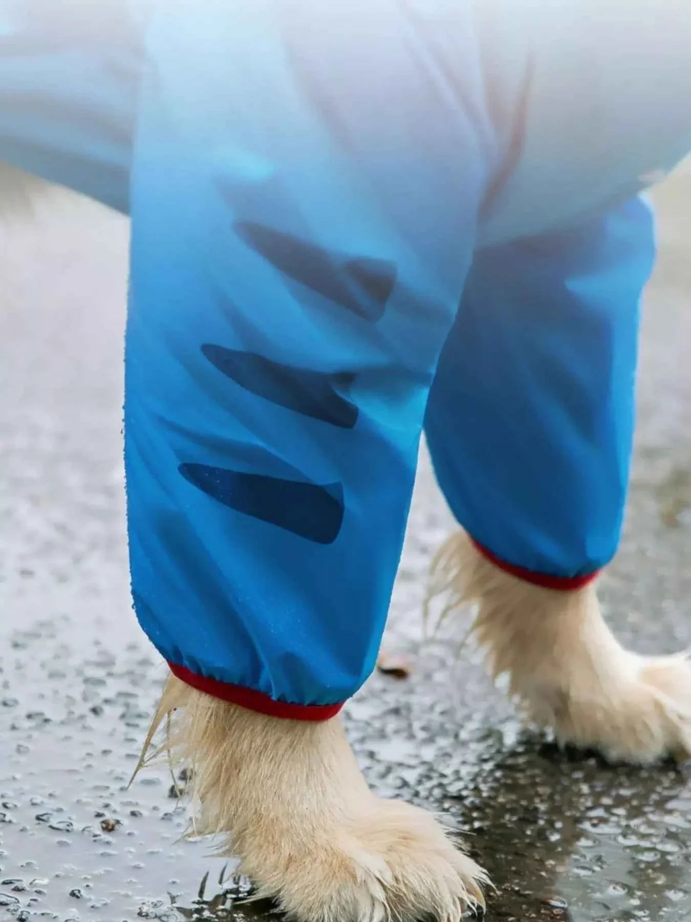 Waterproof Dog Raincoat - Dinosaur Style with Hood