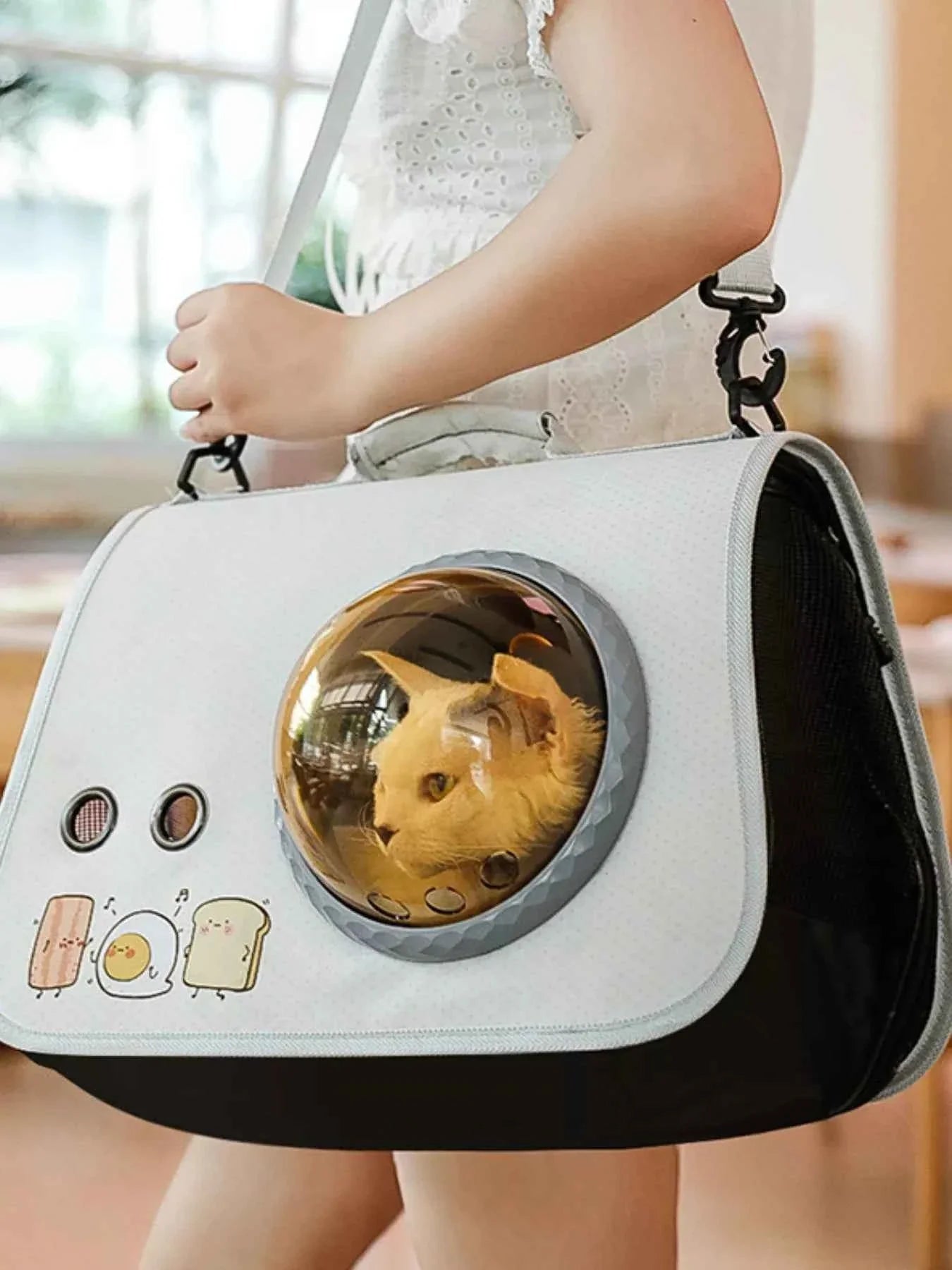 Pet Carrier Bag - Portable Bubble Window
