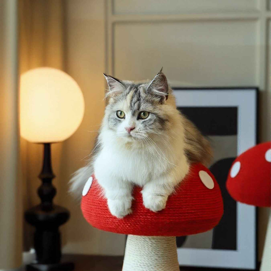 Mushroom-Shaped Cat Scratching Post