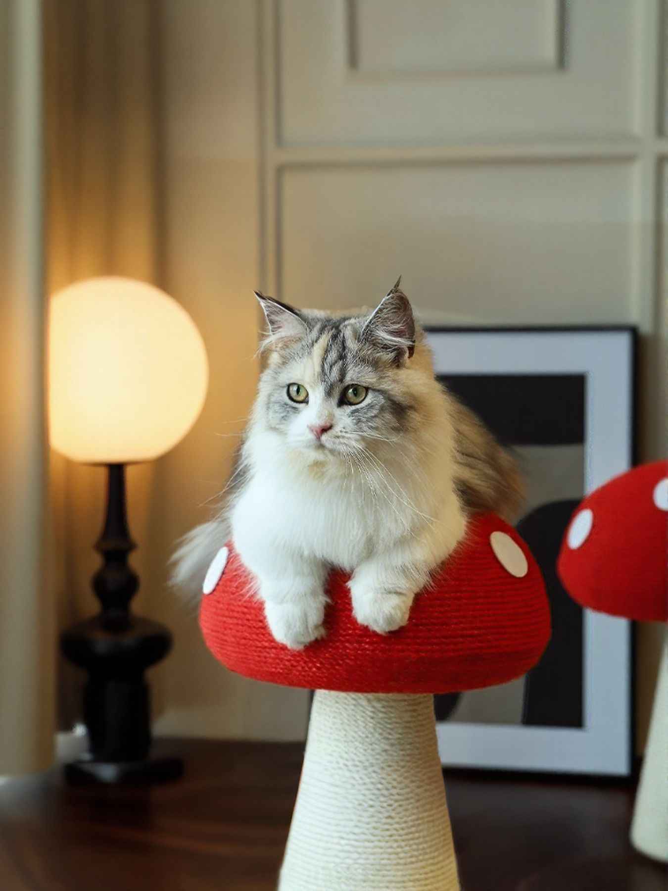 Mushroom-Shaped Cat Scratching Post